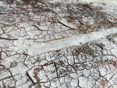  autorstwa Gabriela Aleksandra Szuba