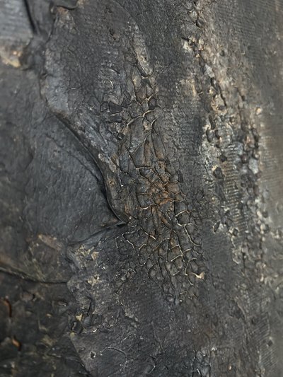  autorstwa Gabriela Aleksandra Szuba