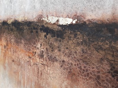  autorstwa Gabriela Aleksandra Szuba