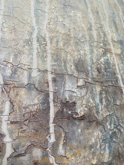  autorstwa Gabriela Aleksandra Szuba