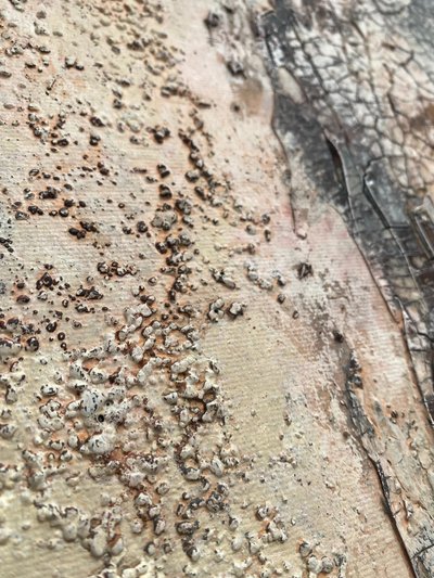  autorstwa Gabriela Aleksandra Szuba