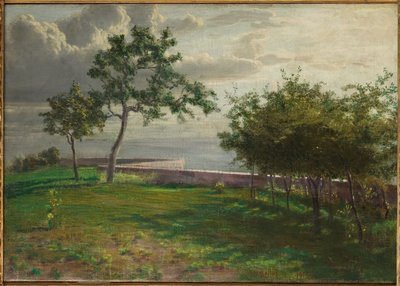 Widok z drzewami i małą ścianą autorstwa Gaetano Bellei