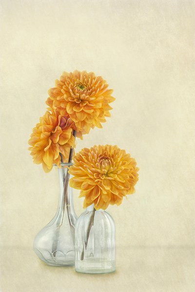  autorstwa Gaille Gray