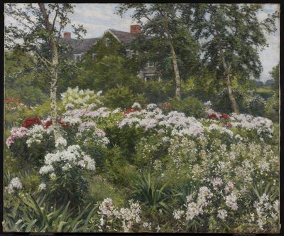 Ogród, 1911 autorstwa Gaines Ruger Donoho