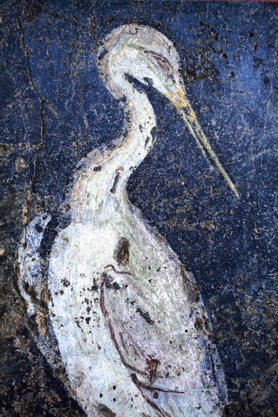 Rzymskie malarstwo ścienne autorstwa Gallo-Roman