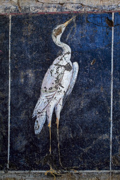 Rzymskie malarstwo ścienne autorstwa Gallo-Roman