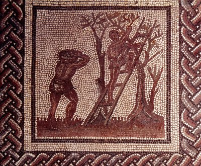 Gallo Roman Art: mozaika przedstawiająca rustykalny kalendarz. Scena zbierania oliwek. Koniec II, początek III wieku po JC. Z Saint-Romain-en-Gal (Rhone). Saint Germain en Laye, Narodowe Muzeum Archeologiczne autorstwa Gallo Roman