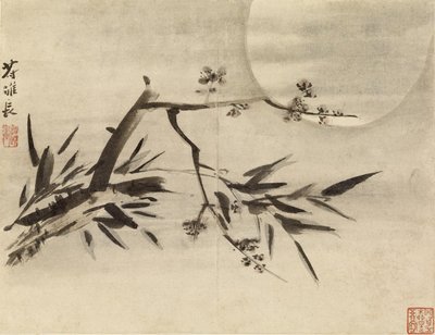  autorstwa Gao Qipei