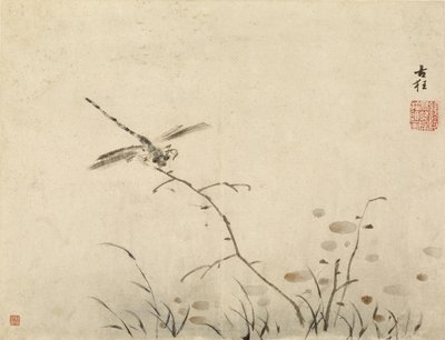  autorstwa Gao Qipei