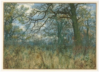 Drzewa i poszycie, 1885. autorstwa Garden William Fraser