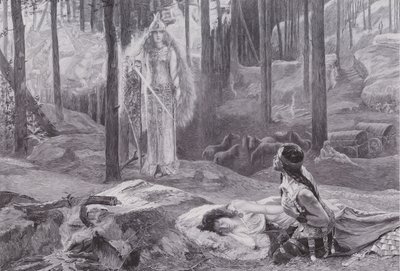 Objawienie (Brunnhilda odkrywa Sieglindę i Siegmunda) (lito) autorstwa Gaston Bussiere