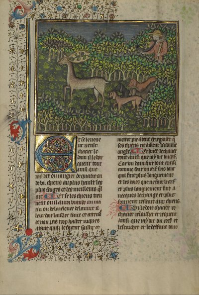 Księga łowów autorstwa Gaston Phébus