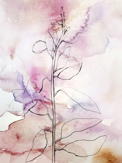 Różowa akwarela w stylu botanicznym autorstwa Gemma Bardot