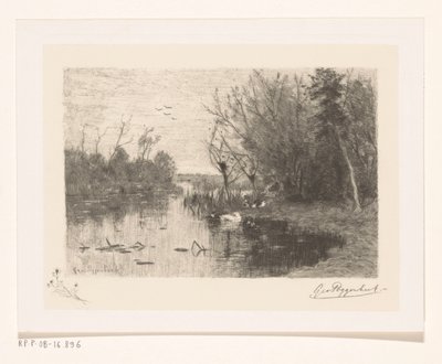 Kaczki wzdłuż i na brzegu jeziora Siusiu kaczki (tytuł oryginalny) autorstwa Geo Poggenbeek (signed by artist)