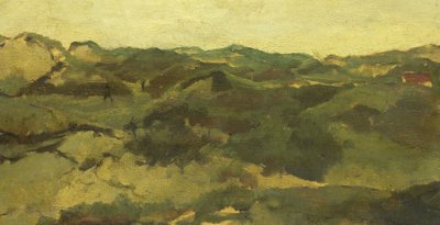Krajobraz wrzosowiska autorstwa Georg-Hendrik Breitner