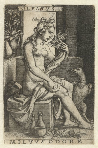 Zapach (Olfactus) Olfatvs milvvs odore (tytuł na obiekcie) Pięć zmysłów (tytuł serii) autorstwa Georg Pencz