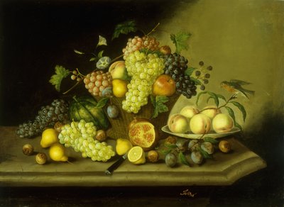 Martwa natura z koszem winogron i mieszanymi owocami na kamiennej półce autorstwa Georg Seitz