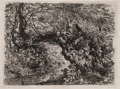 Stara wierzba nad potokiem, 1794. autorstwa Georg von Dillis
