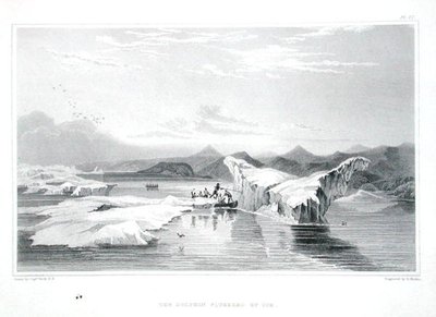 Delfin ściśnięty przez lód, z „Narracji o podróży do brzegów Morza Polarnego w latach 1819-22” Sir Johna Franklina (1786-1847) rycina Edwarda Findena (1791-1857) opublikowana w latach 1823-28 (kolor rytownictwo) autorstwa George (after) Back