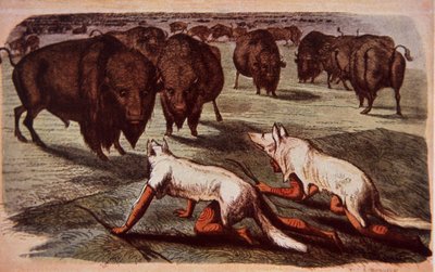 Indianie z równin północnoamerykańskich podkradają się na pasące się bawoły, nosząc wilcze skóry, ok. 1840 r. (kolor lito) autorstwa George (after) Catlin