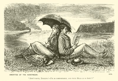 Udogodnienia na miesiąc miodowy (grawerunek) autorstwa George (after) Du Maurier