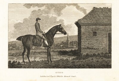 Portret rasowego konia wyścigowego Otho autorstwa George (after) Stubbs
