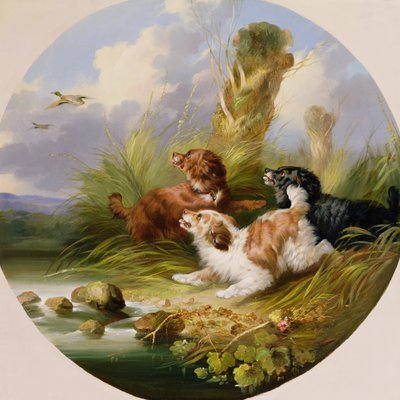 Trzy spaniele Flushing Mallard (olej na płótnie) autorstwa George Armfield