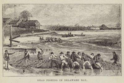 Łowienie shadów w zatoce Delaware autorstwa George Augustus Sala