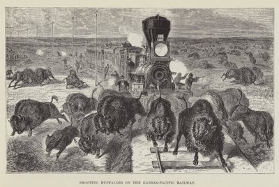 Strzelanie do bawołów na linii kolejowej Kansas-Pacific autorstwa George Augustus Sala