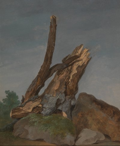 Studium skał i gałęzi autorstwa George Augustus Wallis