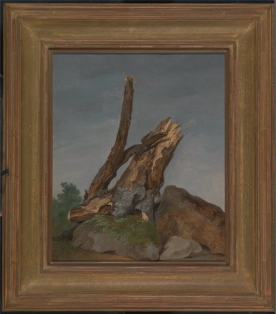 Badanie skał i gałęzi autorstwa George Augustus Wallis