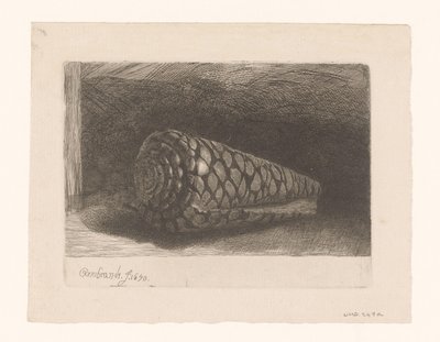 Muszla autorstwa George Bickham (II)