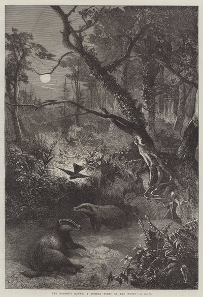 Nawiedzenie borsuka, letnia noc w lesie autorstwa George Bouverie Goddard
