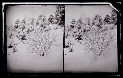 Prospect Park, Brooklyn, ok. 1872-87 (negatyw mokry kolodionowy) autorstwa George Bradford Brainerd