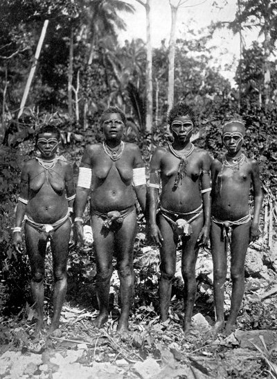 Kobiety w strojach festiwalowych, Melanezja, 1920. autorstwa George Brown