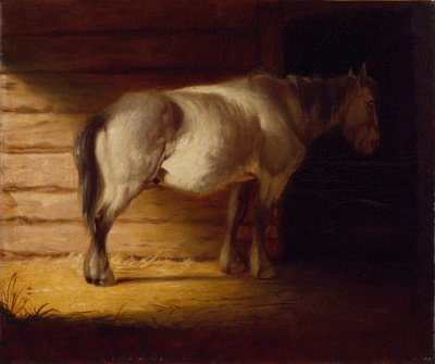 Stary konik polny, 1856 (olej na płótnie) autorstwa George Caleb Bingham