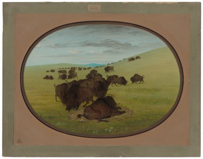 Bawół Wallow autorstwa George Catlin