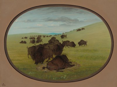 Buffalo Wallow, 18611869. autorstwa George Catlin