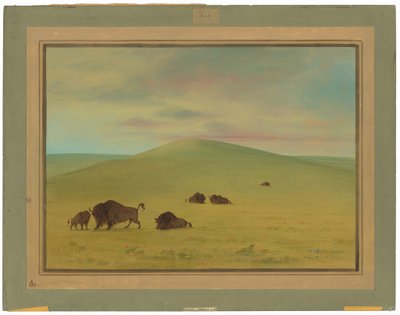American Pasturage - Prairies of the Platte autorstwa George Catlin
