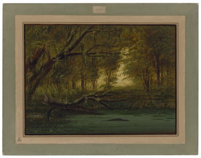  autorstwa George Catlin