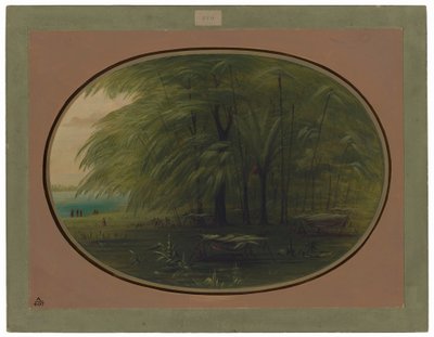 Wioska indiańska – brzeg Amazonki autorstwa George Catlin