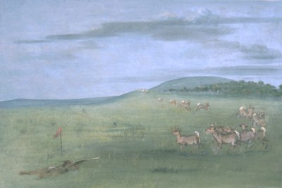 Strzelanie do antylopy, przynęta autorstwa George Catlin