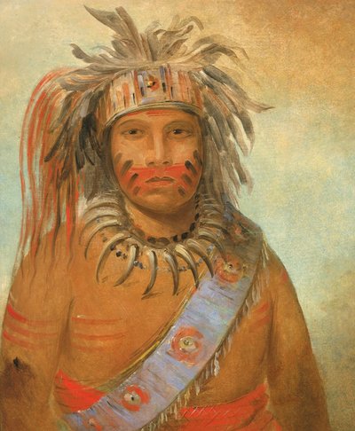 Au-nim-muck-kwa-um, Ptak Burzowy, 1845. autorstwa George Catlin