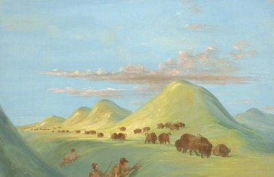 Batiste, Bogard i ja zbliżamy się do Buffalo na Missouri autorstwa George Catlin