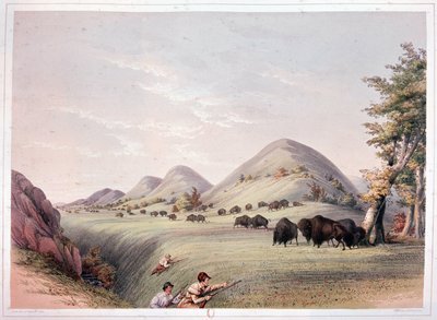 Polowanie na żubry autorstwa George Catlin