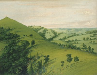 Grób czarnego ptaka, widok z tyłu, prerie upstrzone kwiatami autorstwa George Catlin