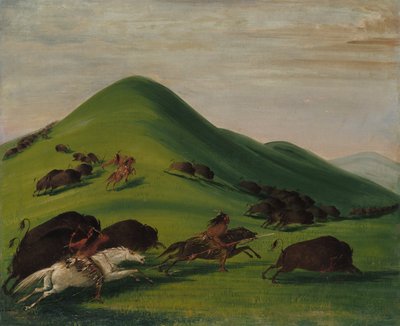 Buffalo Chase nad Prairie Bluffs autorstwa George Catlin