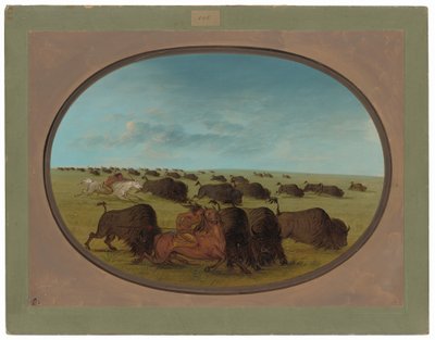 Buffalo Chase, z wypadkami autorstwa George Catlin