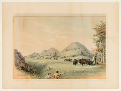 Polowanie na bizony; Zbliżanie się w wąwozie - nr 11 autorstwa George Catlin