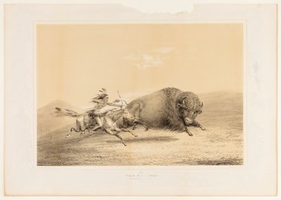 Polowanie na bizony, pościg nr. 5 autorstwa George Catlin